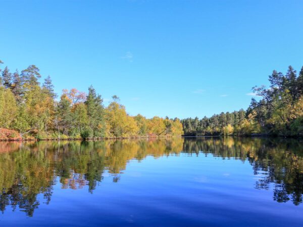 Vuokraveneen kuljettajakurssi